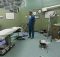 5 مستشفيات بغزة مهددة بالتوقف عن العمل خلال ساعات بسبب شح الوقود