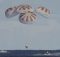 SpaceX Dragon capsule ends test flight with ocean splashdown