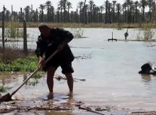 شاهد.. كيف دمرت الأمطار والسيول مزارع العراق