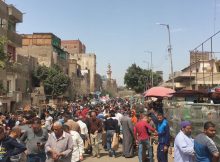بالفيديو.. ثعابين وتماسيح وطيور في سوق الجمعة بالسيدة عائشة