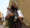 Taliban announce spring offensive amid Afghan peace talks