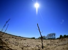 German farmers fear drought after dry winter
