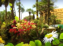 حديقة الأورمان.. خبيئة القاهرة التي تفوح عطرا في الربيع