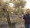 مستوطنون يضرمون النيران بأراض زراعية جنوبي نابلس