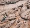 Teenager triumphs in Moroccan desert challenge