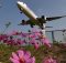World’s most punctual airlines and airports