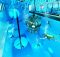 World’s deepest pool to open in Poland