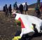 Ethiopian pilots’ desperate battle revealed